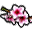 Şeftali Çiçeği.png